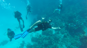 Diving Utila Honduras