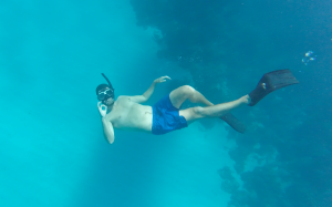Snorkelling Utila Honduras