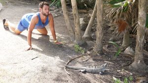 Iguana Tulum Ruins Tulum Mexico