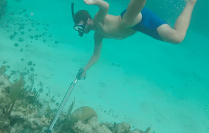 Spear Fishing Snorkelling Caye Caulker Belize