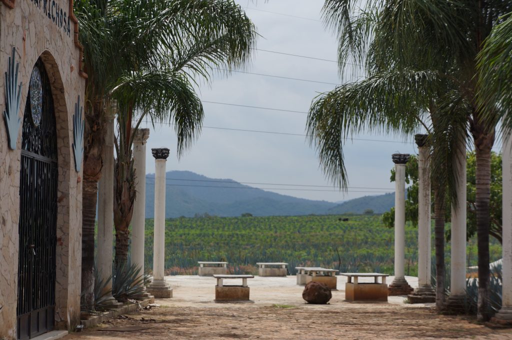 Tres Mujeres Tequila Distillery Tequila Region Guadalajara Mexico