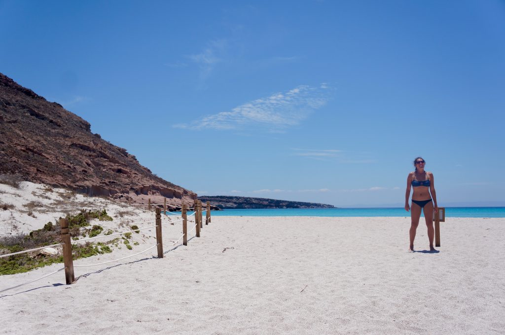 Isla Espiritu Santo Sea of Cortez La Paz Baja Peninsula Mexico