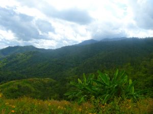 Pai Village Thailand