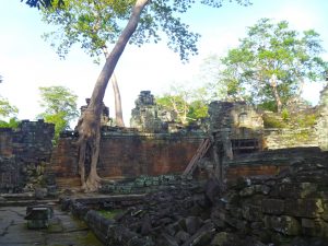 Angkor Wat Siem Reap Cambodia