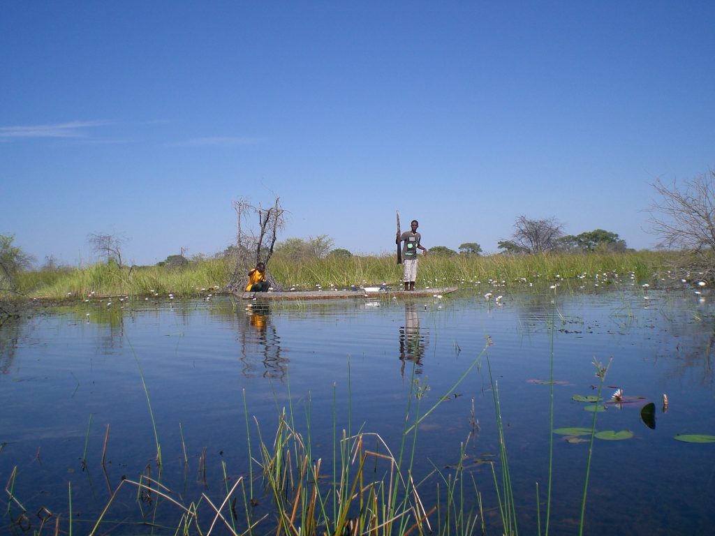 Okavango Delta Botswana Africa