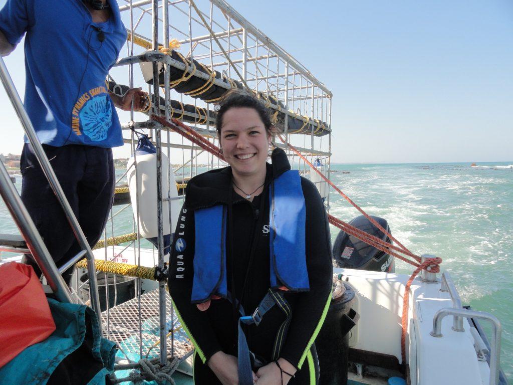 Shark Cage Diving Cape Town South Africa