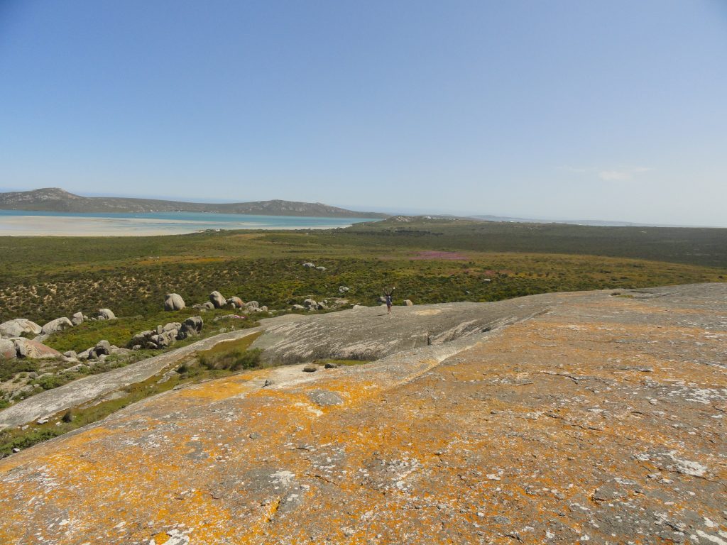 West Coast National Park Western Cape South Africa