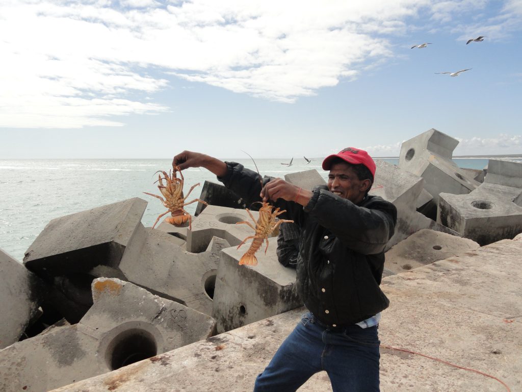 Lambert’s Bay Western Cape South Africa