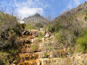 Hike Devil's Peak Cape Town South Africa