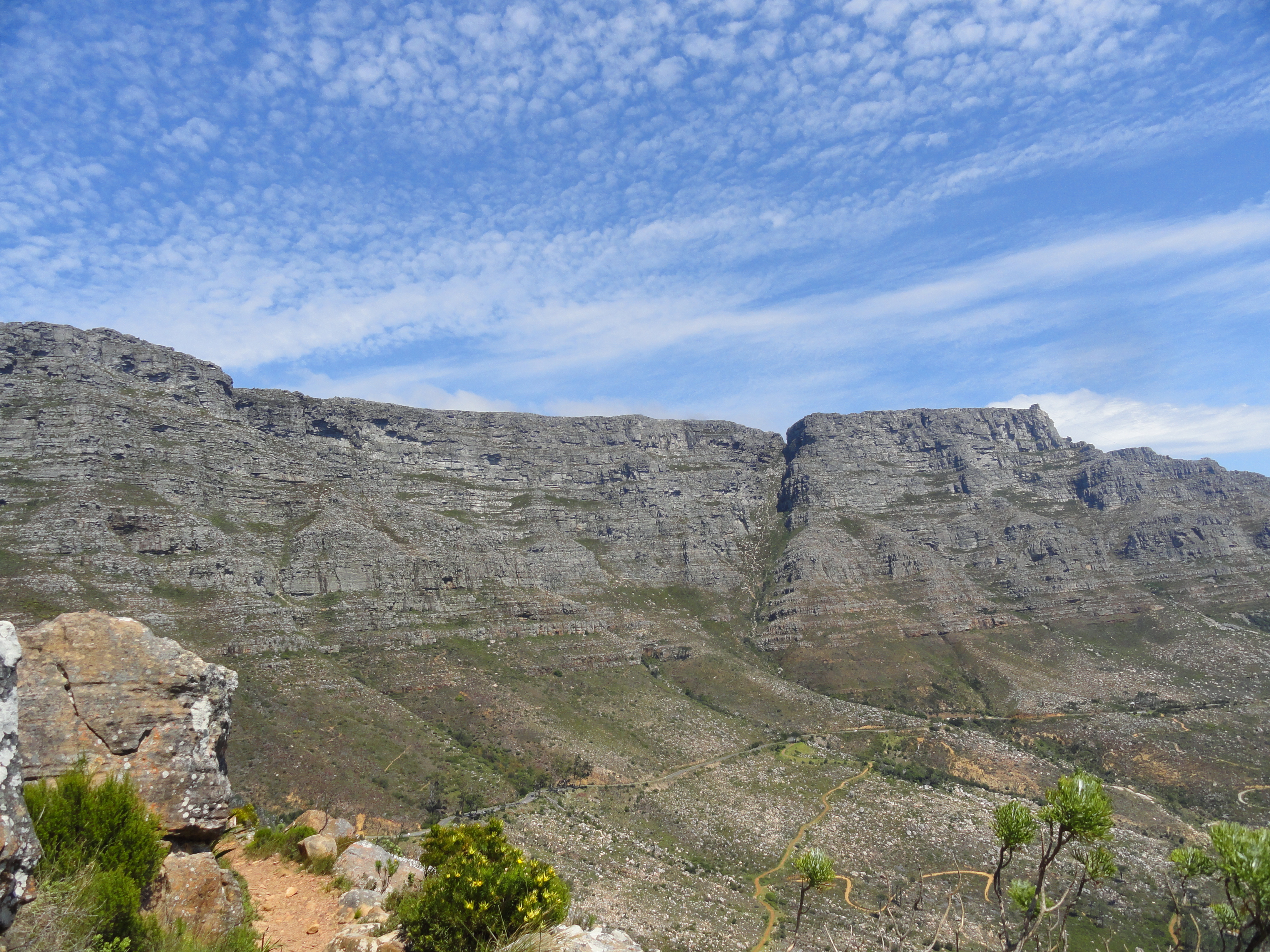 View from Hike Devil's Peak Cape Town South Africa