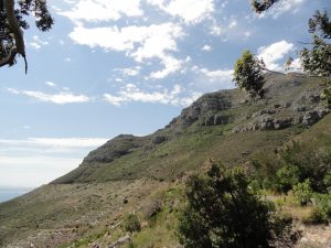 Hike Devil's Peak Cape Town South Africa