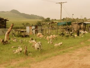 Rural Swaziland Africa