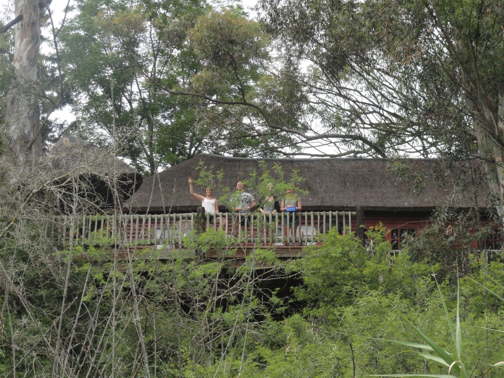 Addo Elephant National Park South Africa