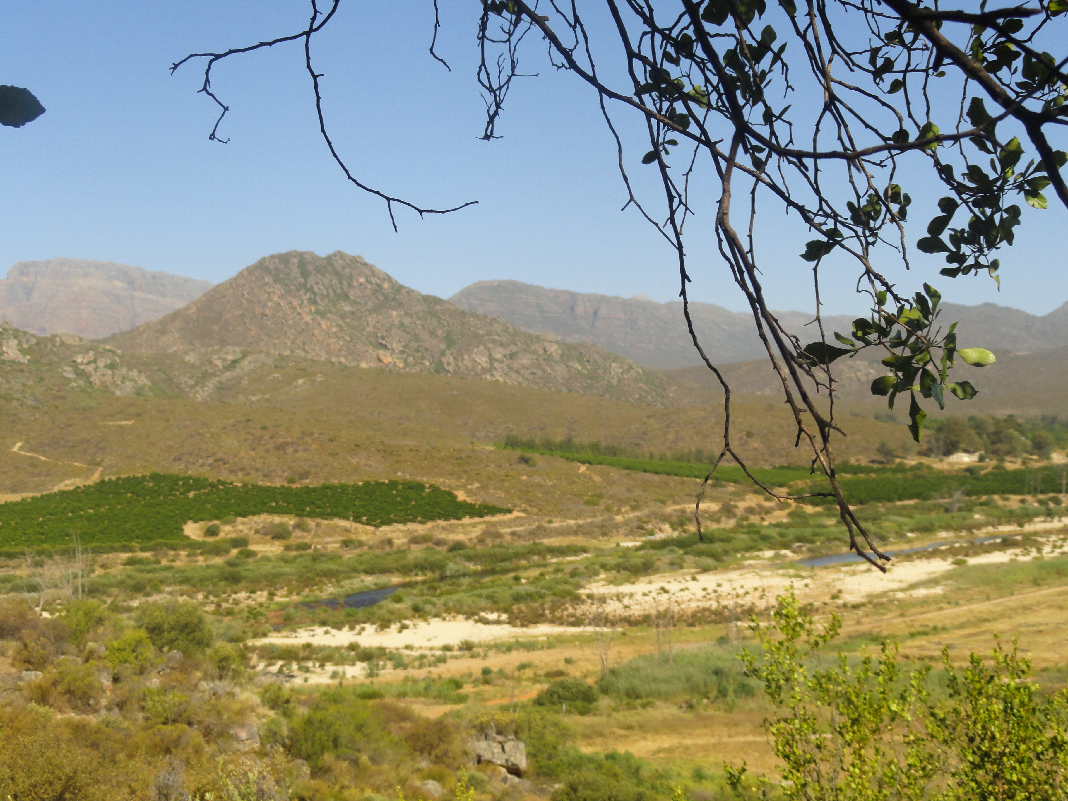 Cederberg Western Cape South Africa