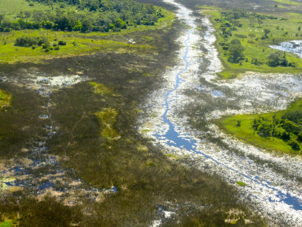 Okavango Delta Botswana Africa view from above
