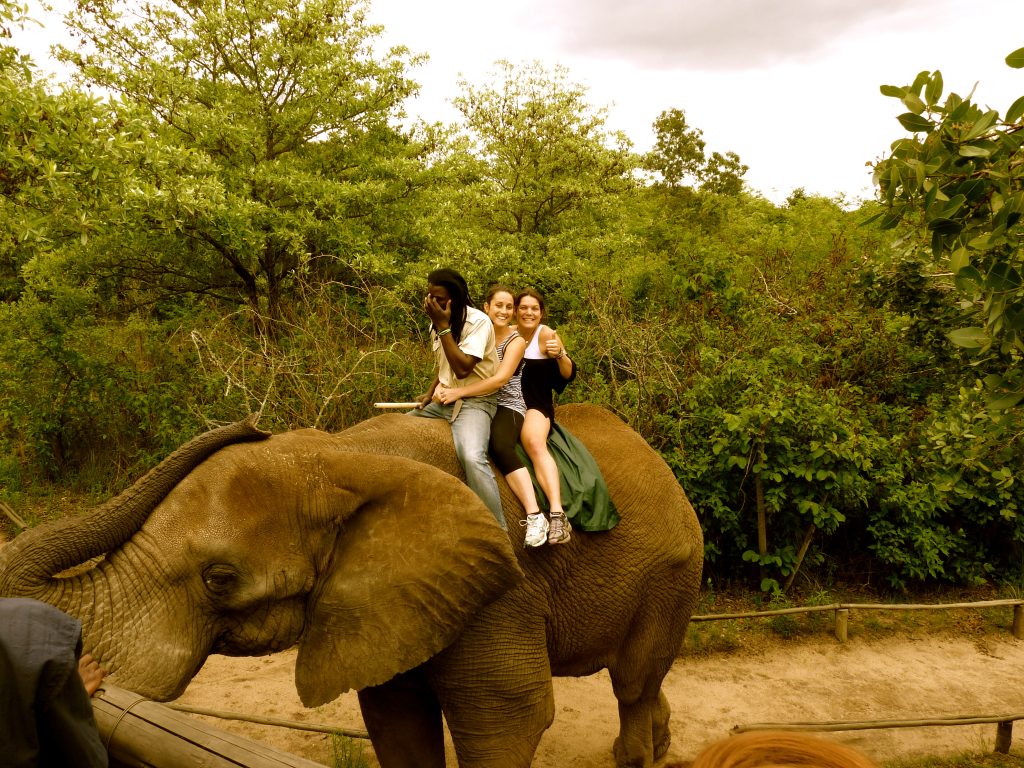 The Elephant Sanctuary Hazyview South Africa