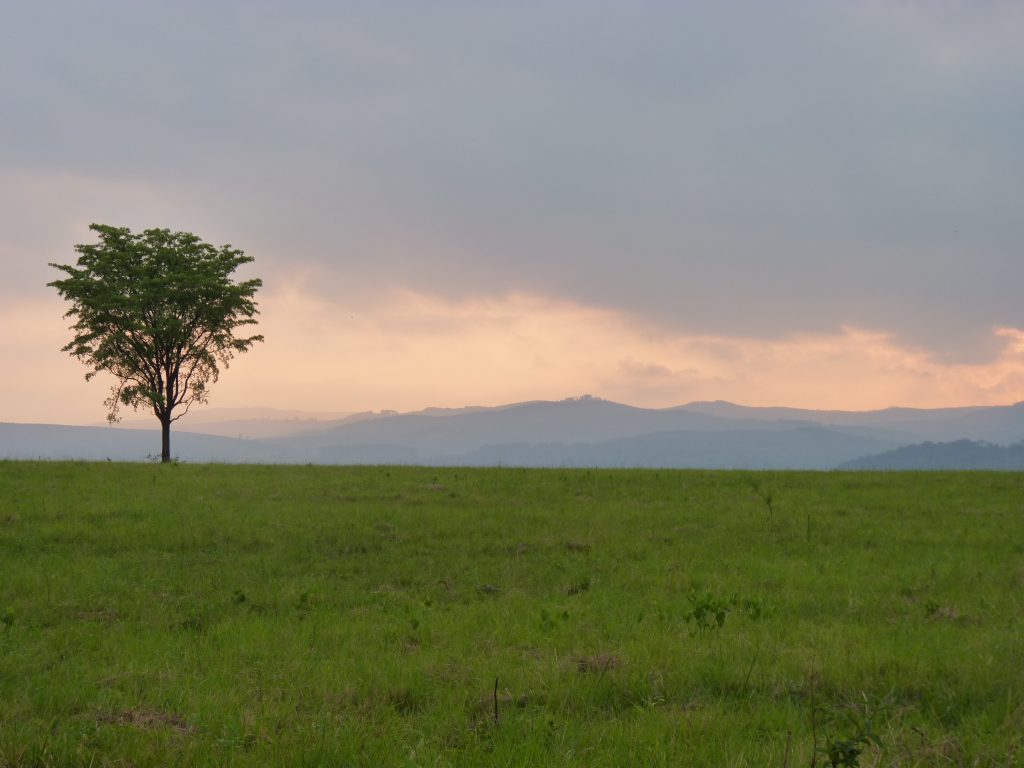 Mlilwane Wildlife Sanctuary Swaziland Africa