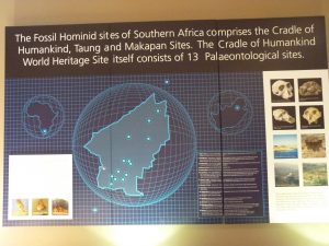 Cradle of Humankind Johannesburg South Africa