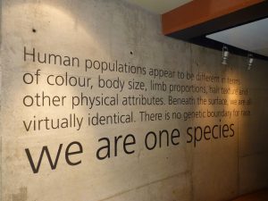 Cradle of Humankind Johannesburg South Africa