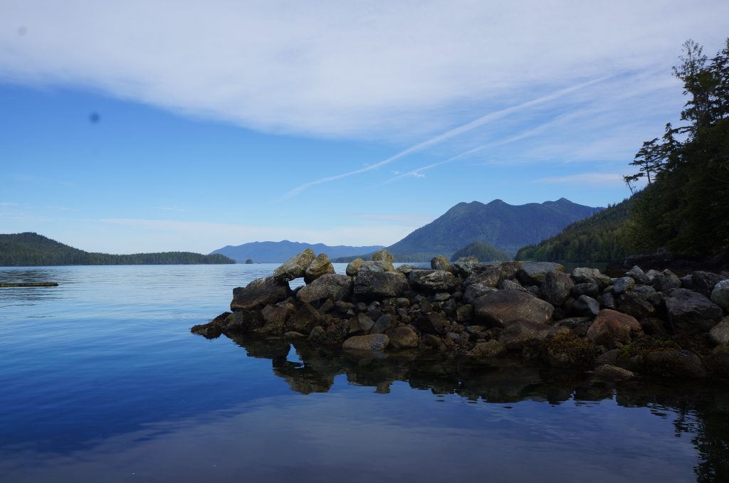 Meares Island Tofino Vancouver Island Canada