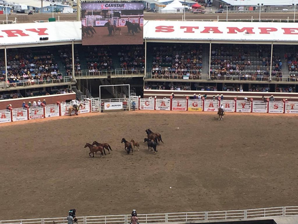 Rodeo Calgary Stampede Canada