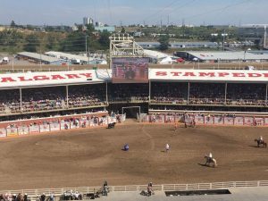 Rodeo Calgary Stampede Canada