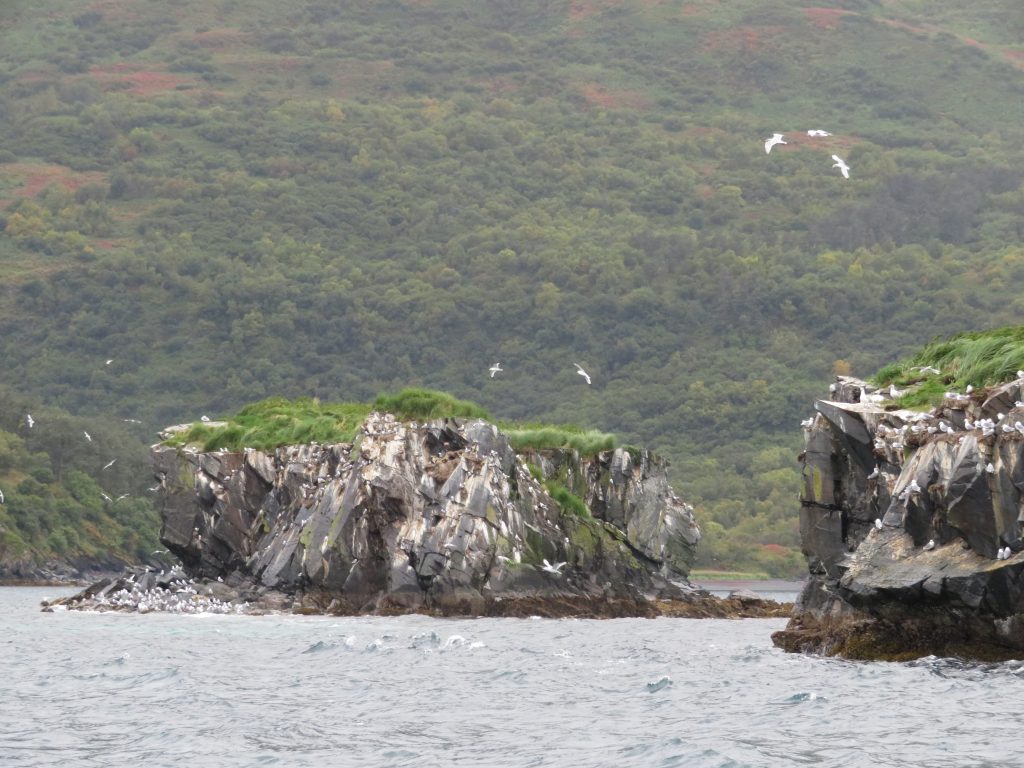 Kodiak Island Alaska United States of America USA