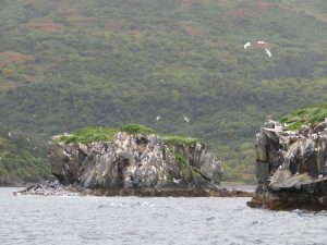 Kodiak Island Alaska United States of America USA