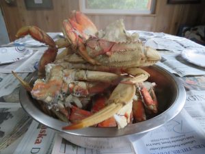 Dungeness Crab Kodiak Island Alaska United States of America USA