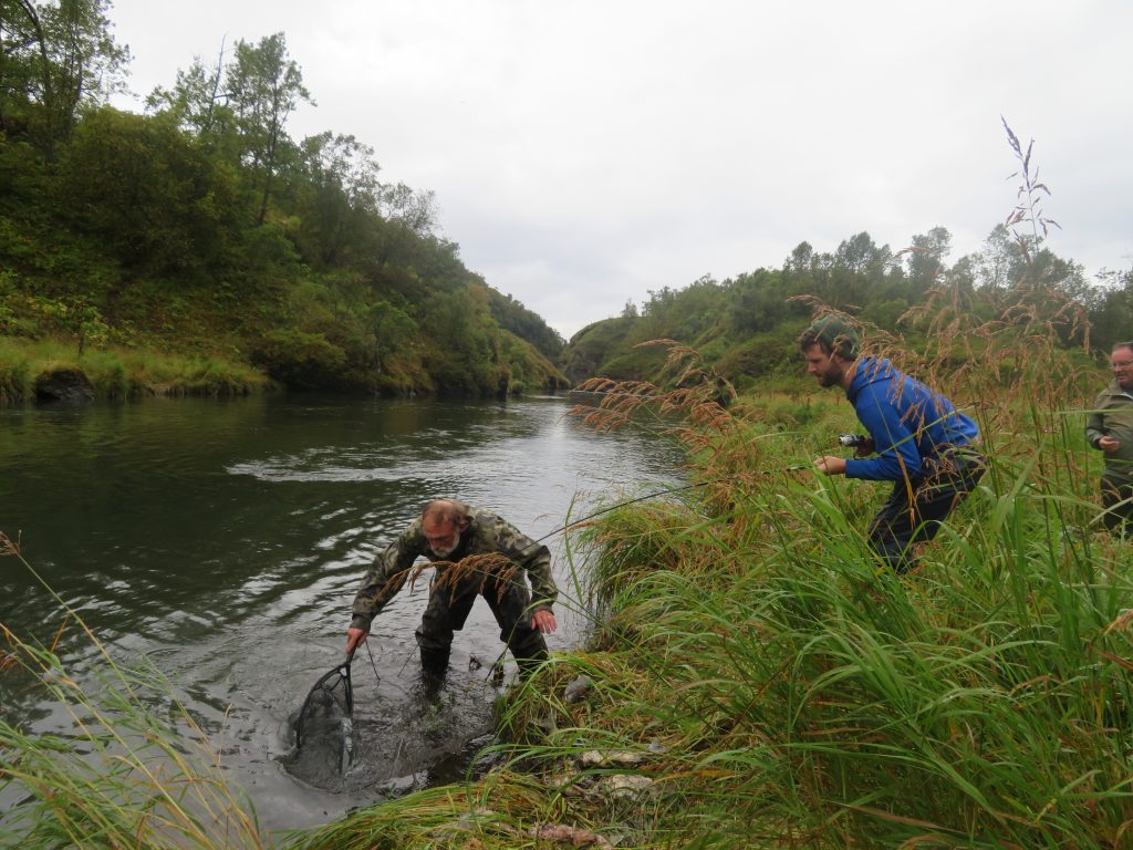 Salmon Fishing Kodiak Island Alaska United States of America USA