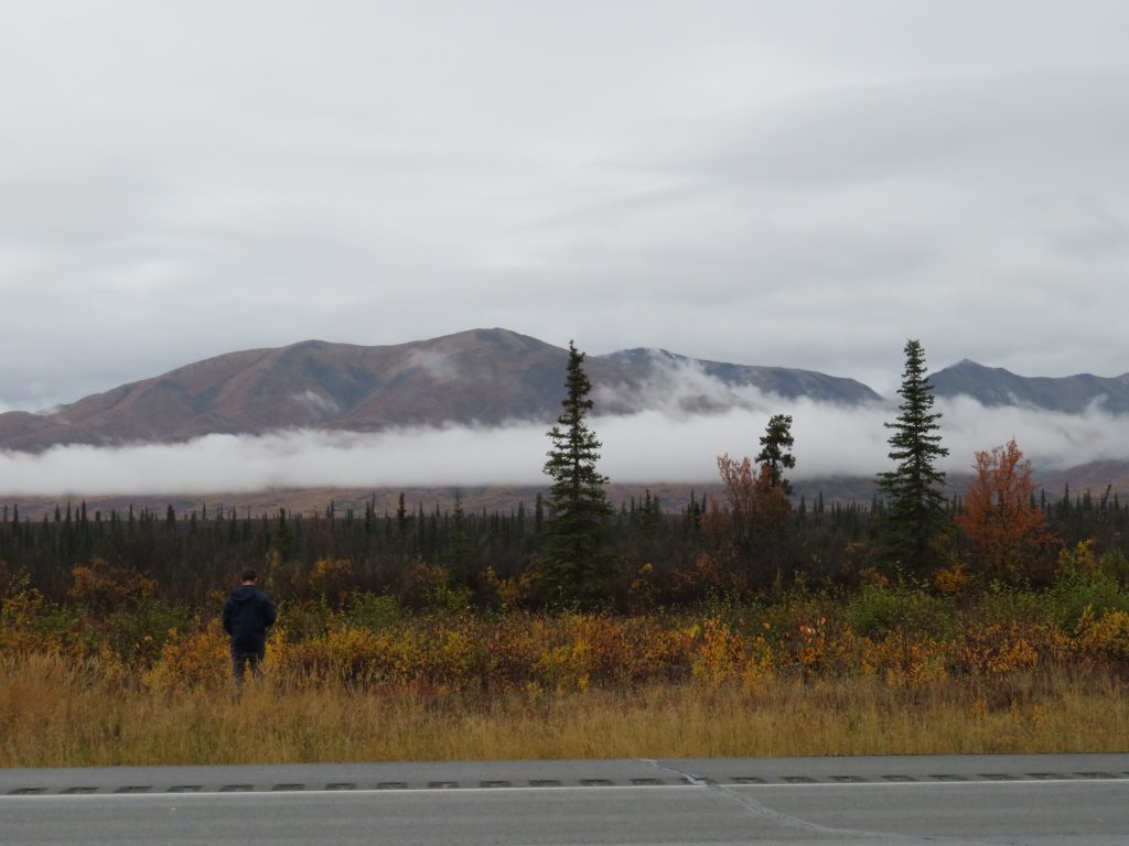 Denali National Park Alaska United States of America USA