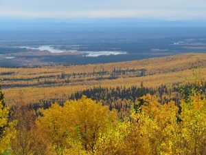 Denali National Park Alaska United States of America USA