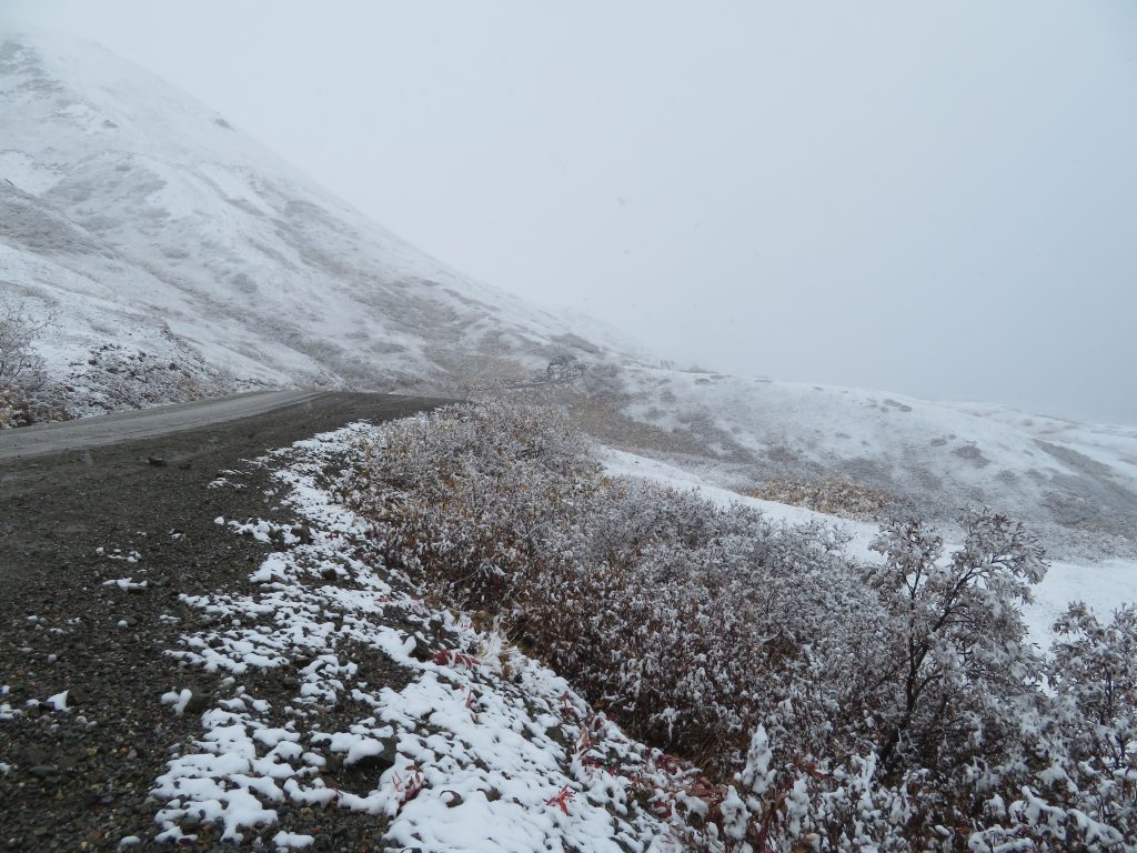 Denali National Park Alaska United States of America USA