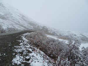 Denali National Park Alaska United States of America USA