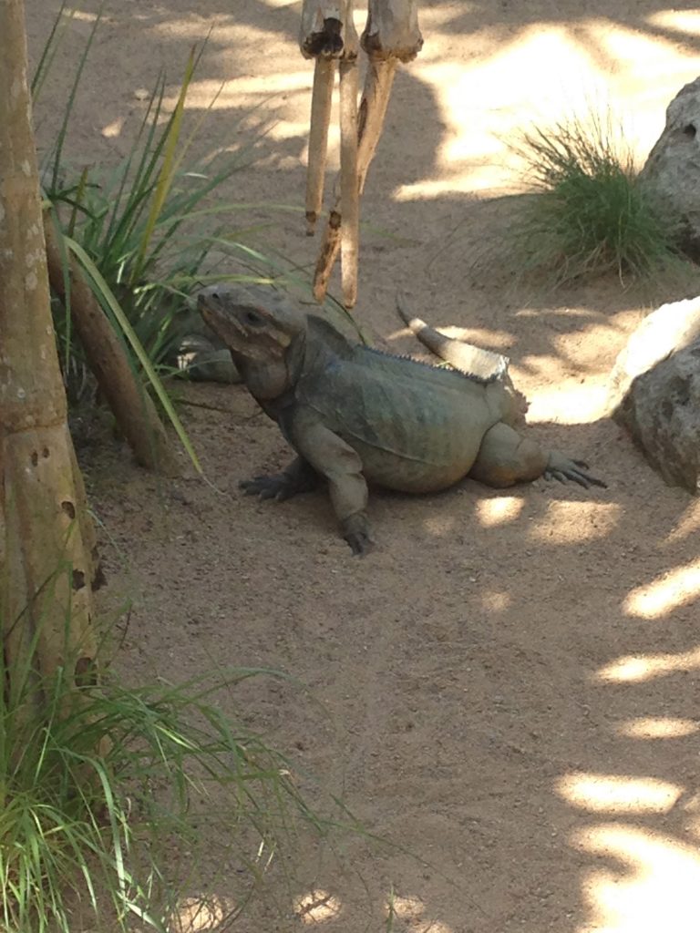 Australia Zoo Brisbane