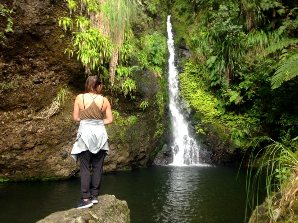 Waitakere Ranges, Auckland, New Zealand