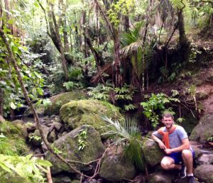 Waitakere Ranges, Auckland, New Zealand