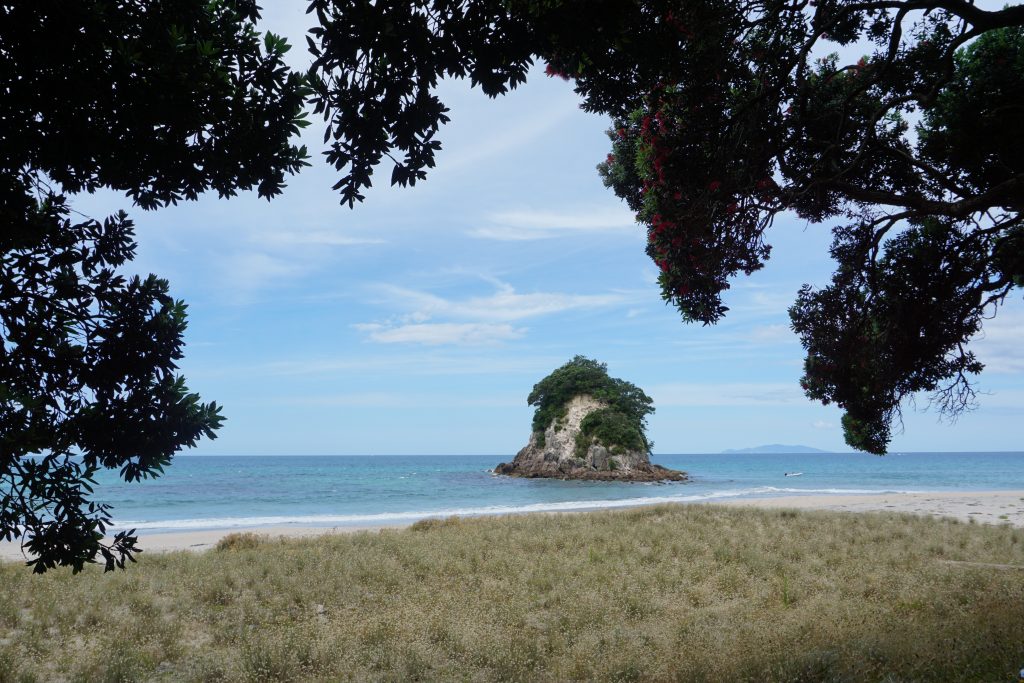 Near Whangamata, Coromandel, New Zealand