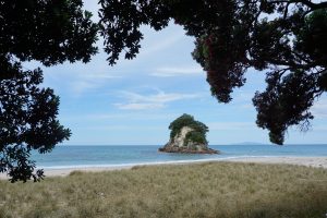 Near Whangamata, Coromandel, New Zealand