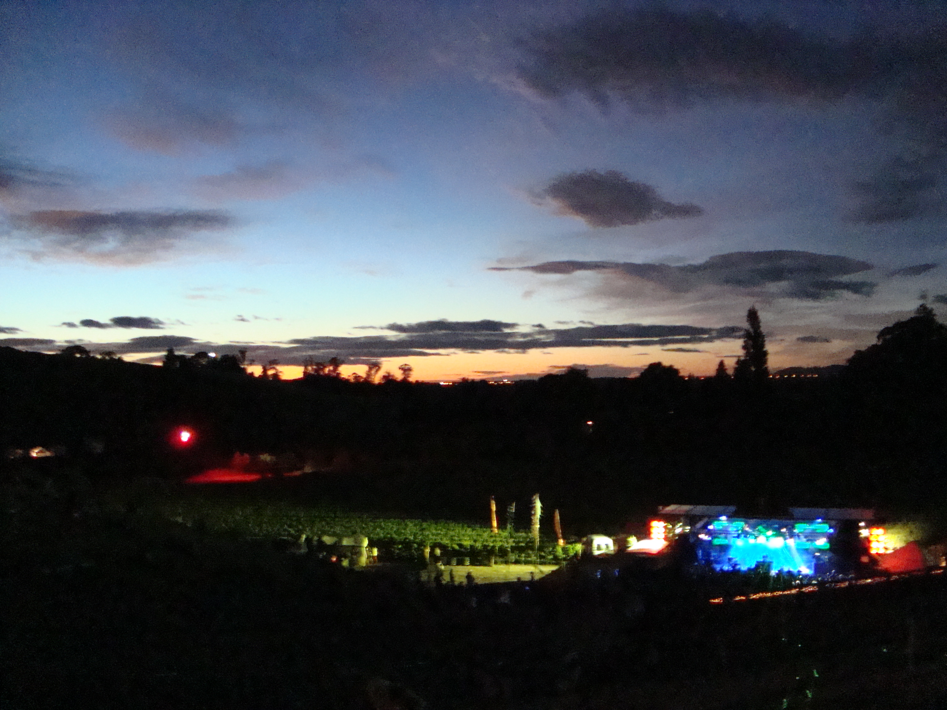 Rhythm and Vines, Gisborne, New Zealand