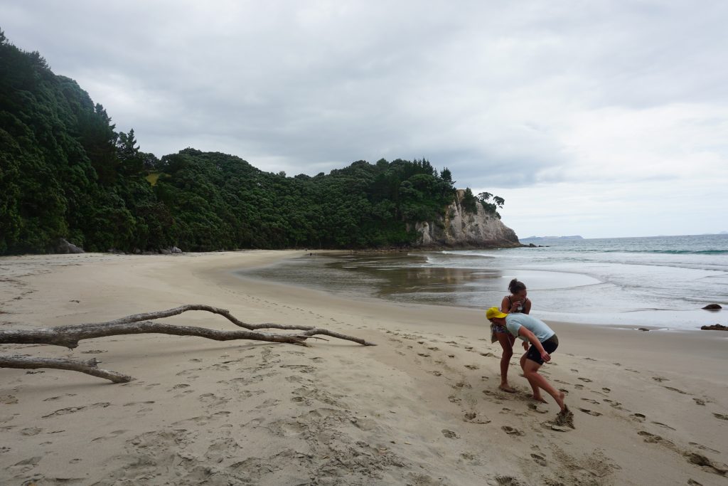 Near Whangamata, Coromandel, New Zealand