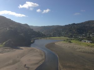 Piha, Auckland, New Zealand