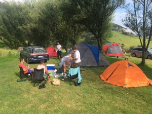 Goat Island Campground, Northland, New Zealand