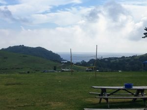 Goat Island Campground, Northland, New Zealand