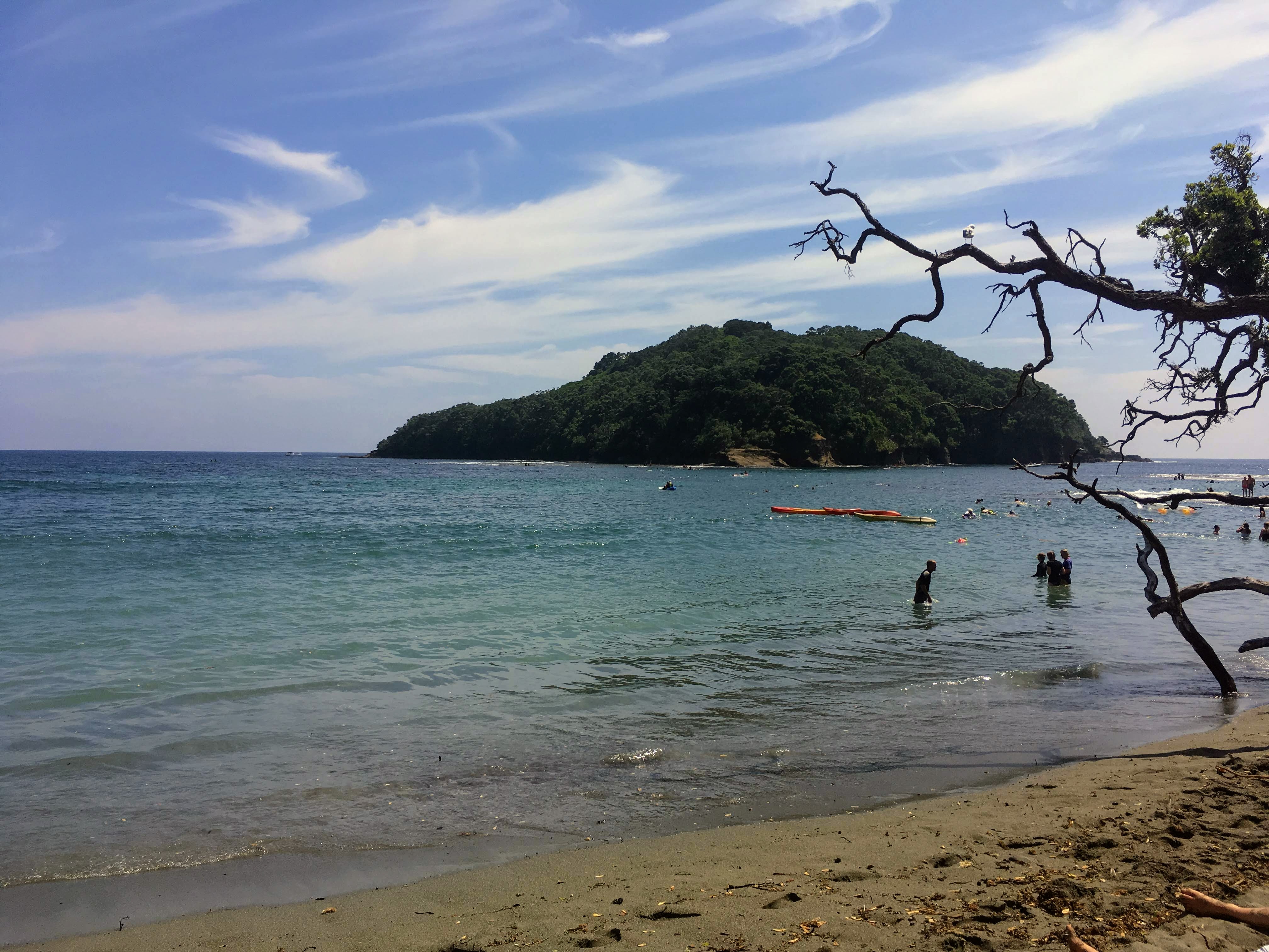 Goat Island, Northland, New Zealand