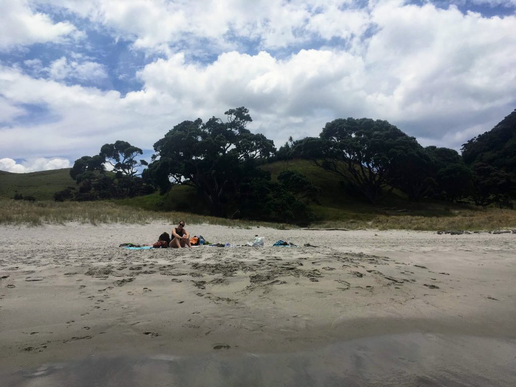 Smugglers Bay, Whangarei Heads, Northland, New Zealand