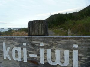 Kai Iwi Lakes, Northland, New Zealand