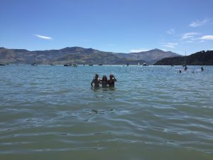 Akaroa, Canterbury, New Zealand