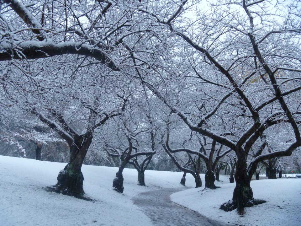 Snow, Christchurch, New Zealand