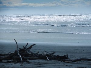 Sumner, Christchurch, New Zealand